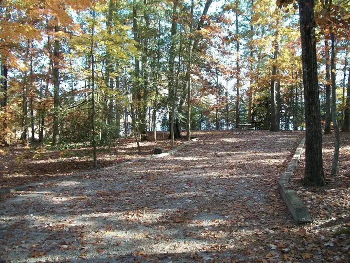 234