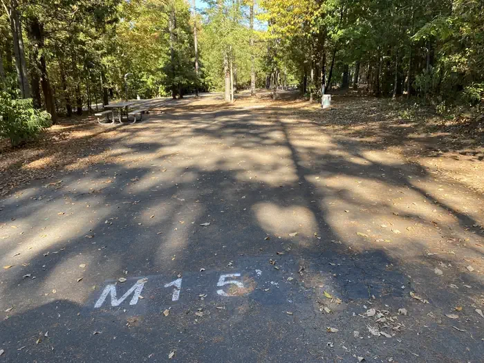 M15