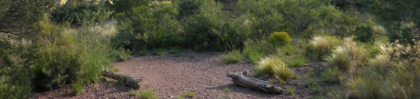 Juniper Flat 2