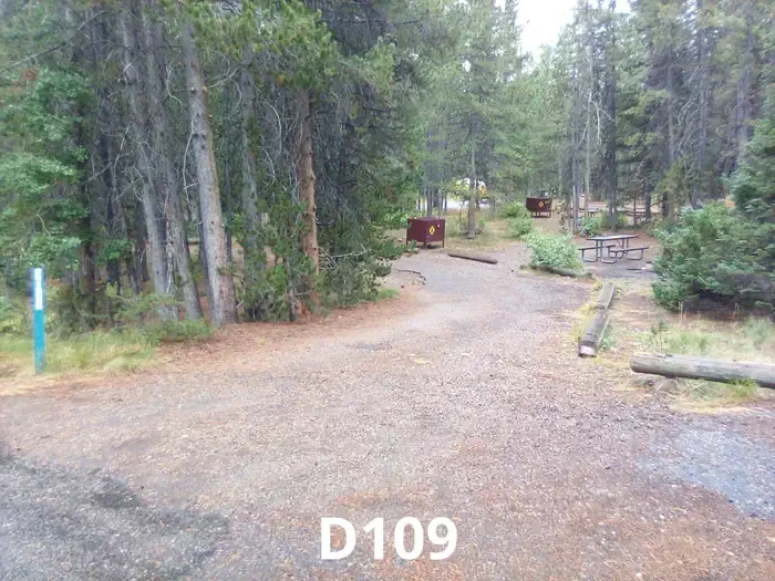 109