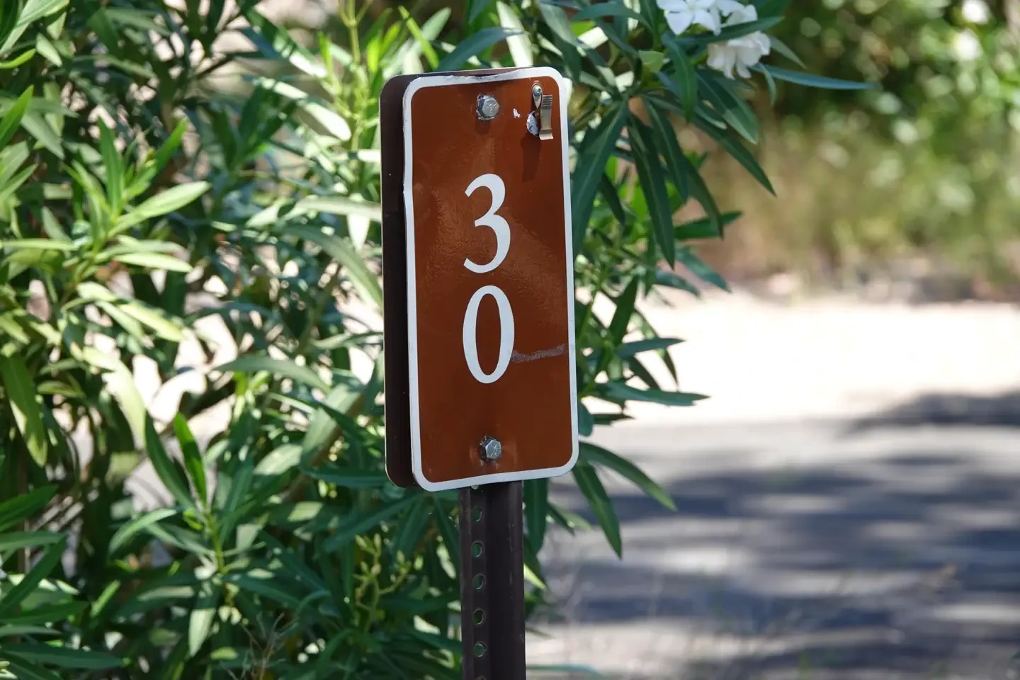 Site 30