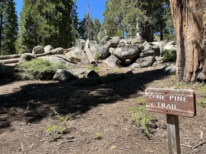 Crystal Springs Campground Mid-Sized Group Sites