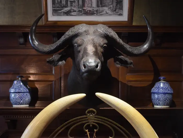 Sagamore Hill National Historic Site Tours