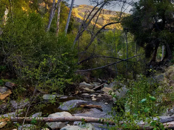 Wheeler Gorge