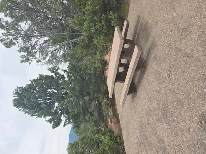 61