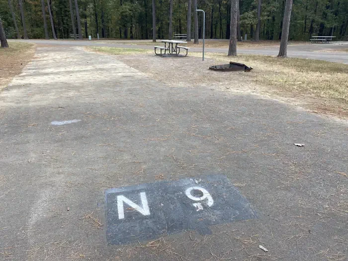 N09