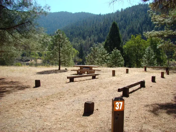 37