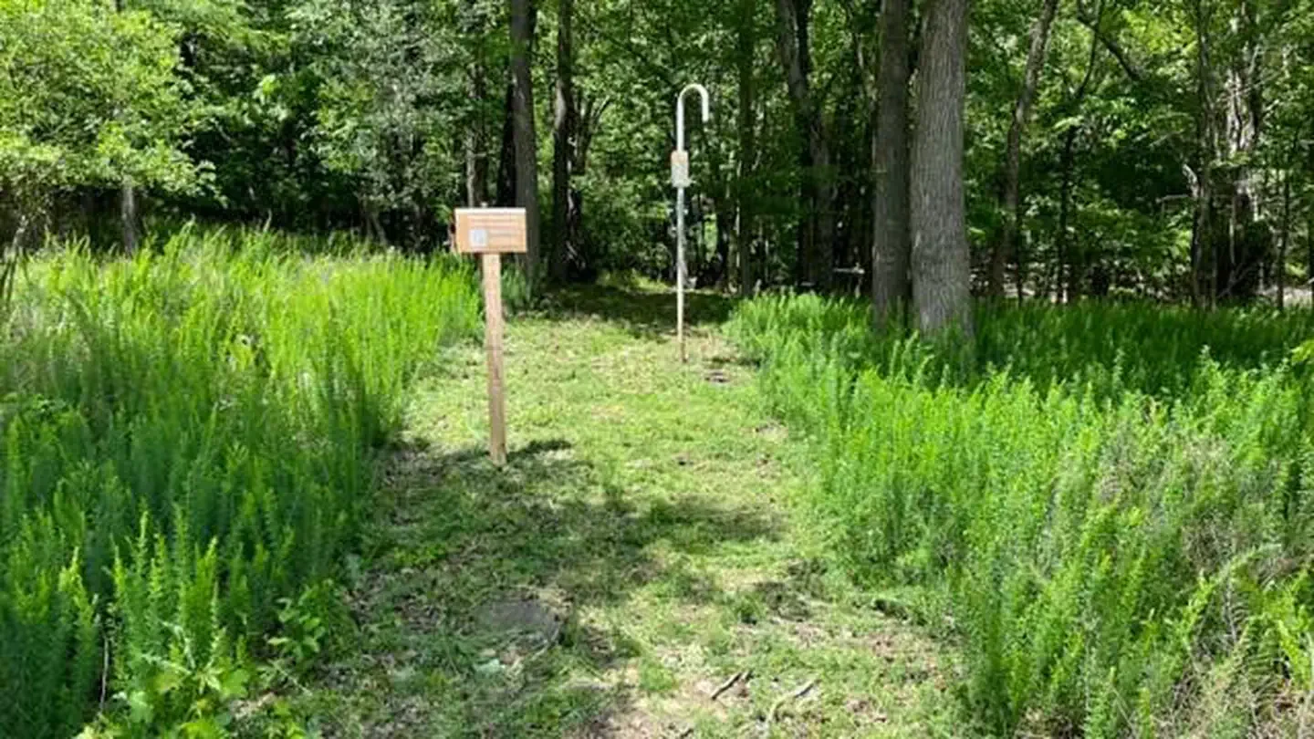 Island Site 01