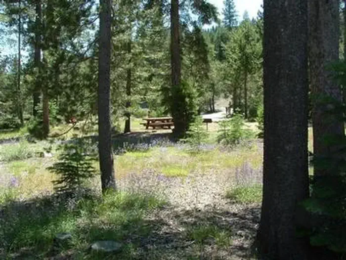 Silver Creek-Truckee