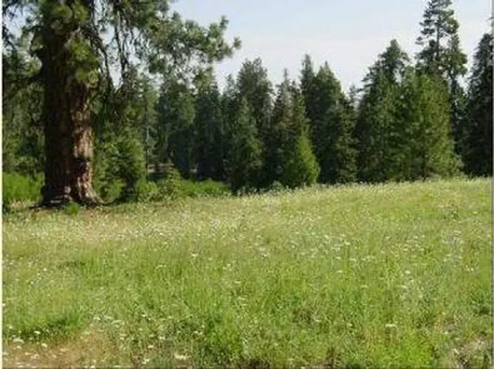 Masterson Group Campground