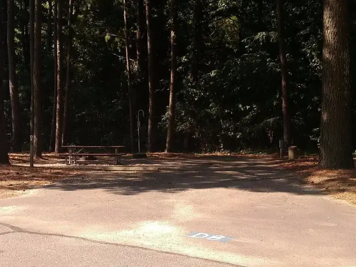 D08