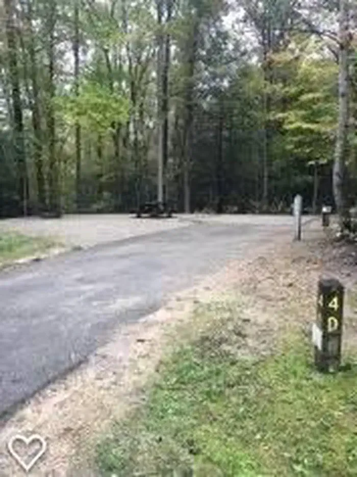 D04