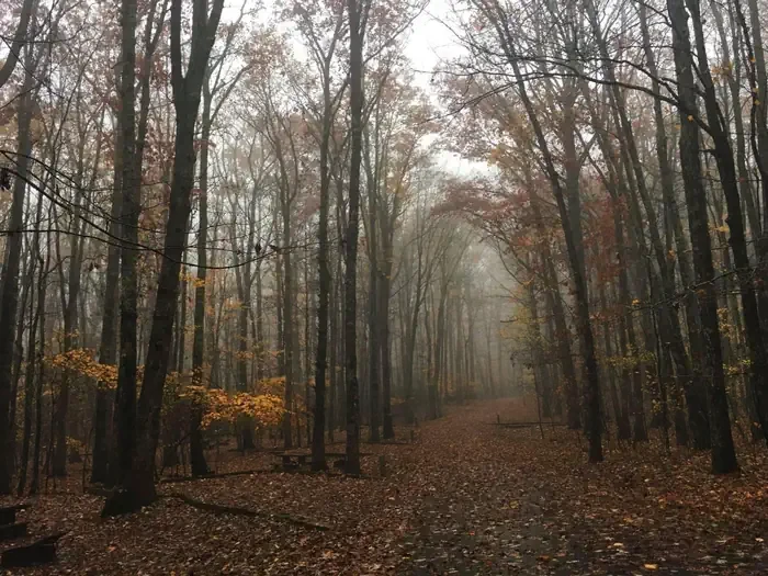 Julian Price Campground
