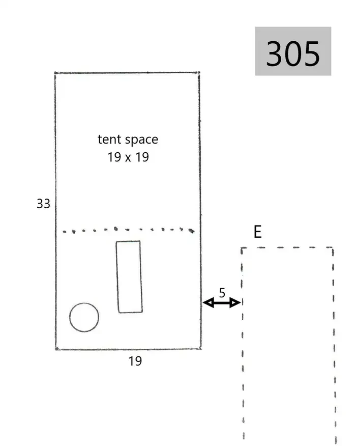 305
