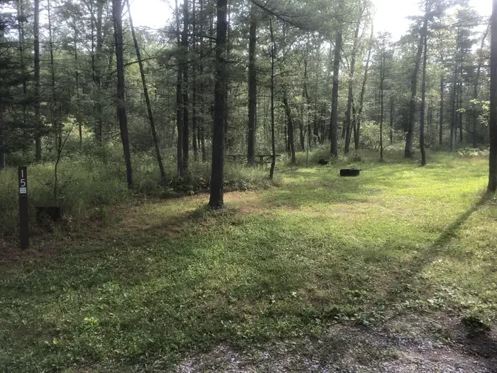 South Branch Trail Camp Group Site