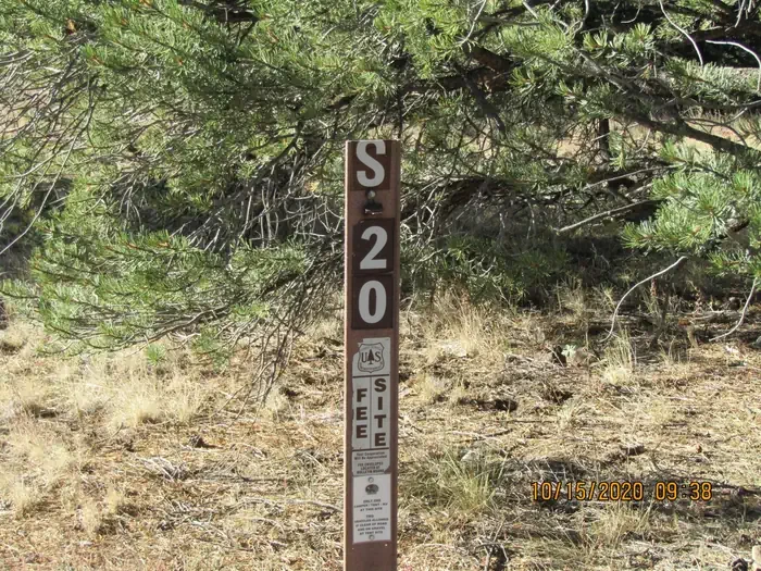 20