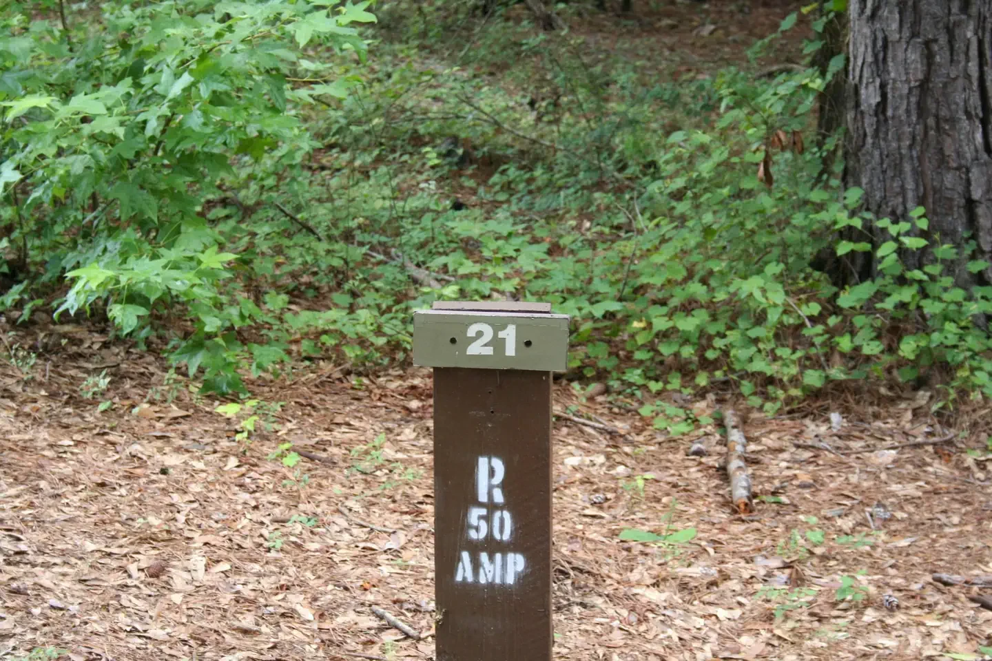 021
