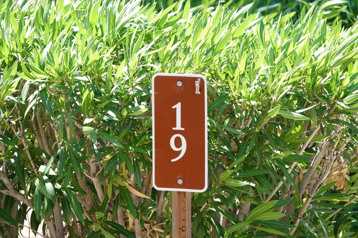 Site 19
