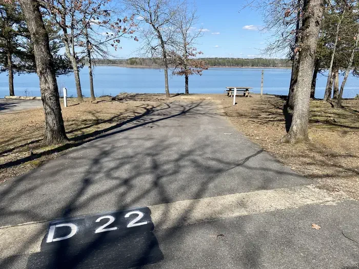 D22