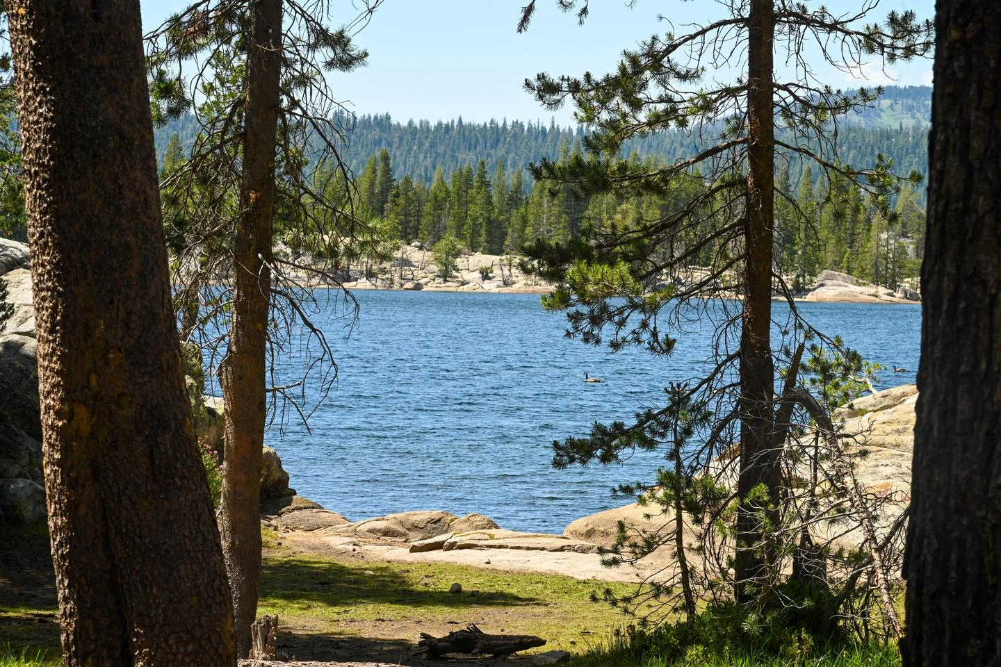 Sandy Flat - Utica Reservoir (Stanislaus NF)