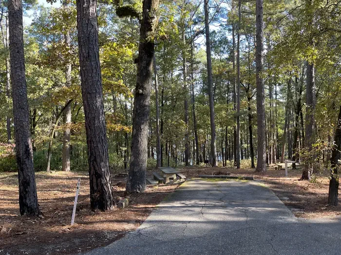 68