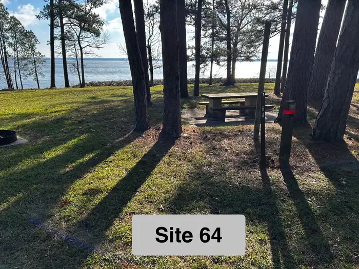 64