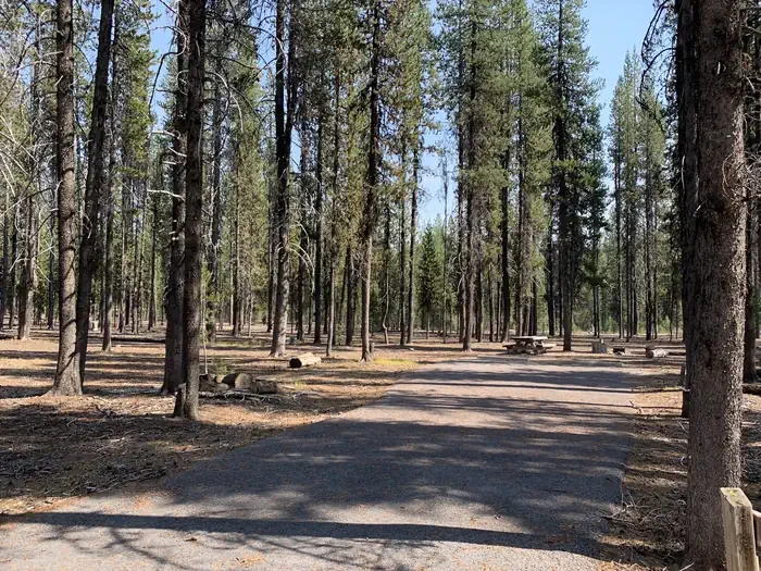 E14