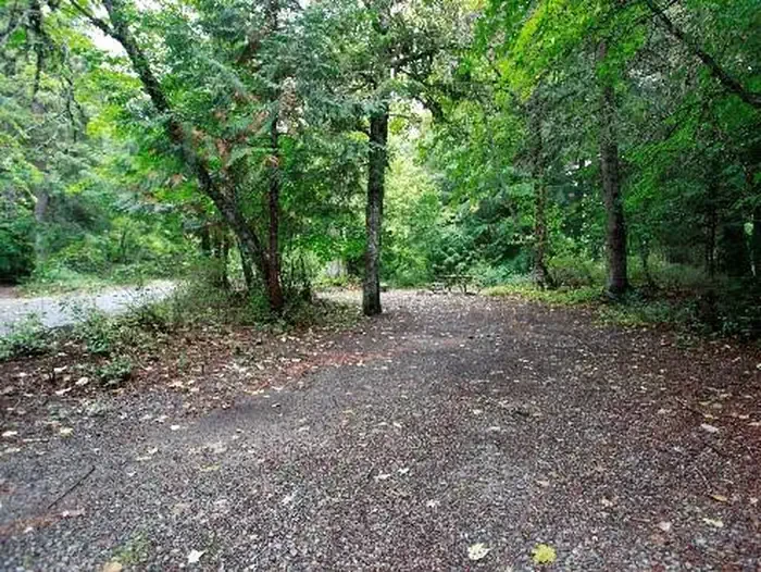 A49