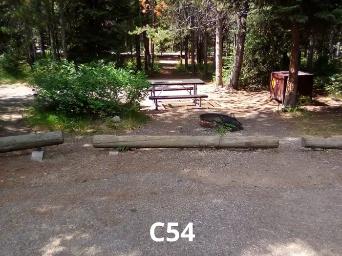 54