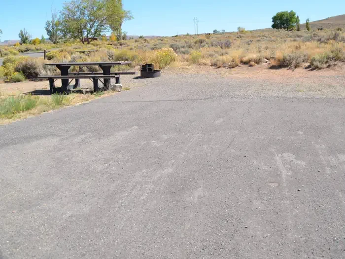 A19