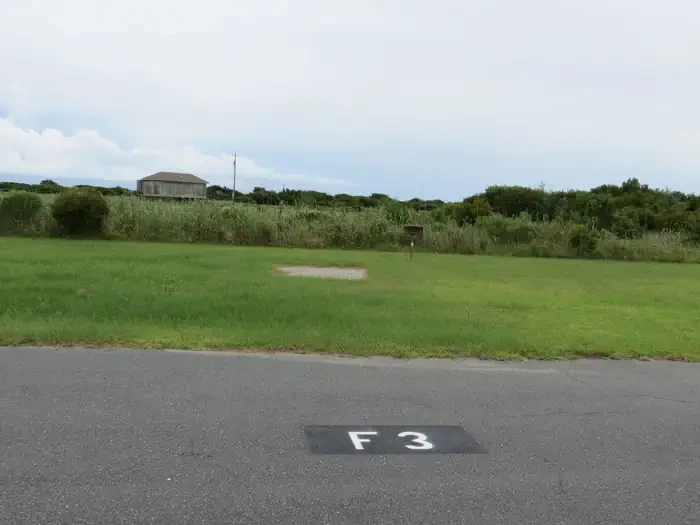 F003