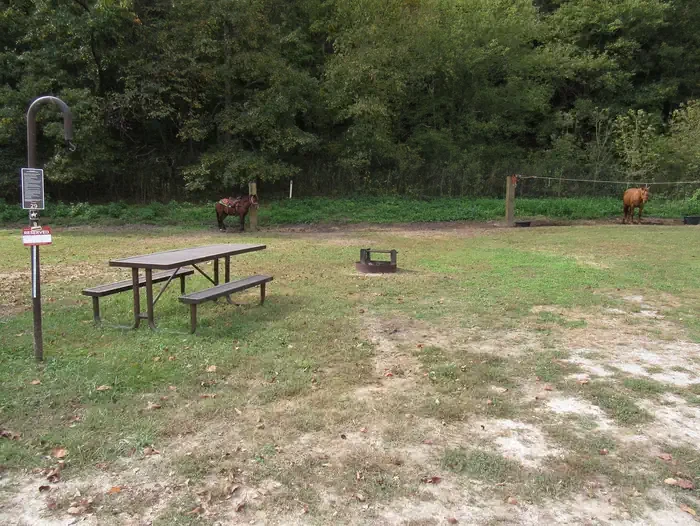 29 - Horse Site