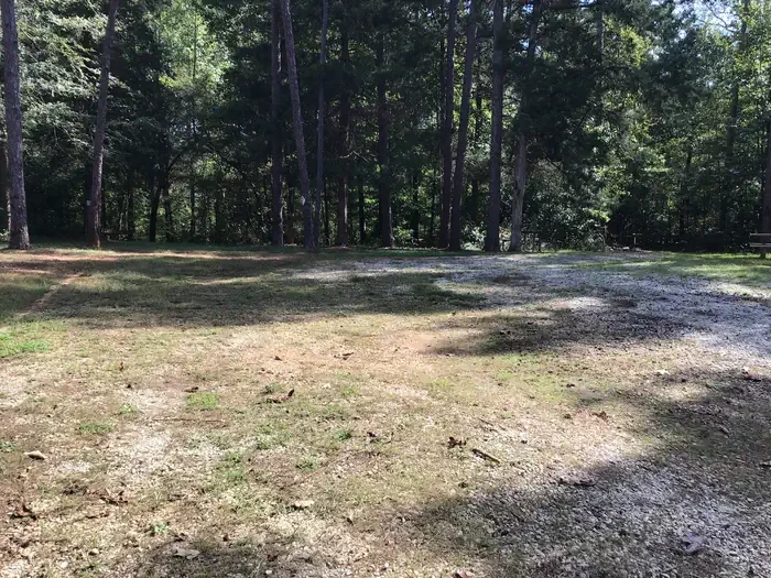 Group Site 08