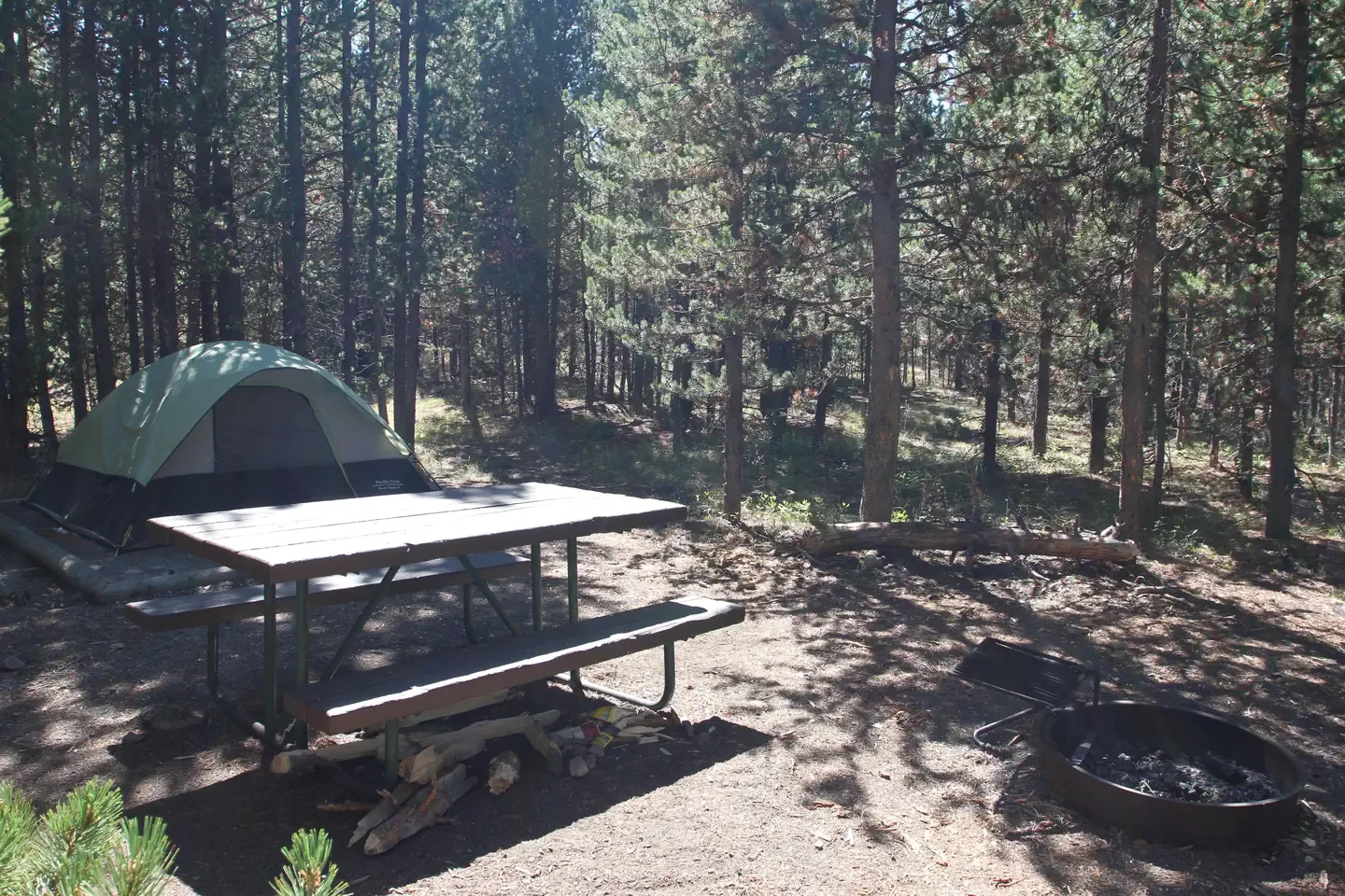 Indian Creek site #56