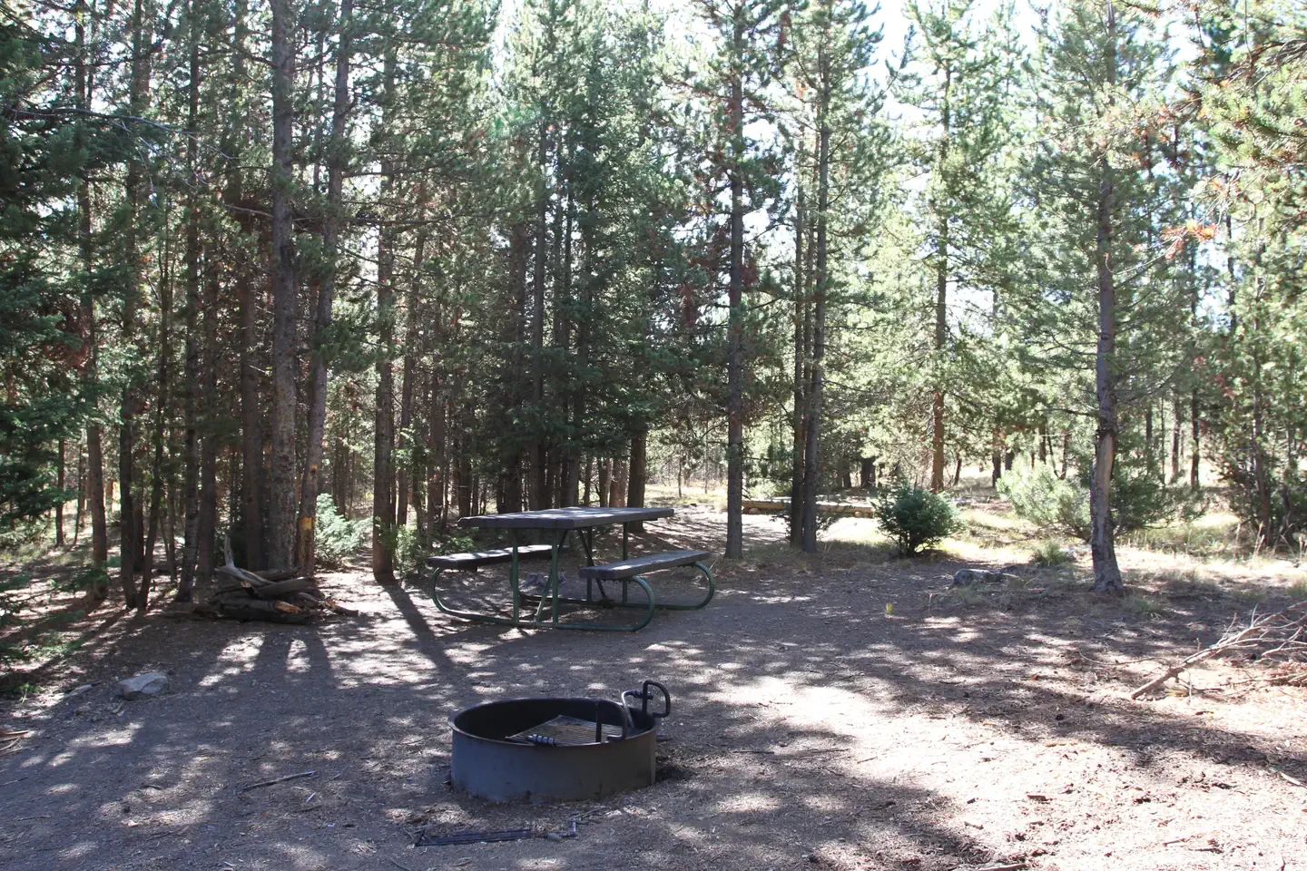 Indian Creek site #51