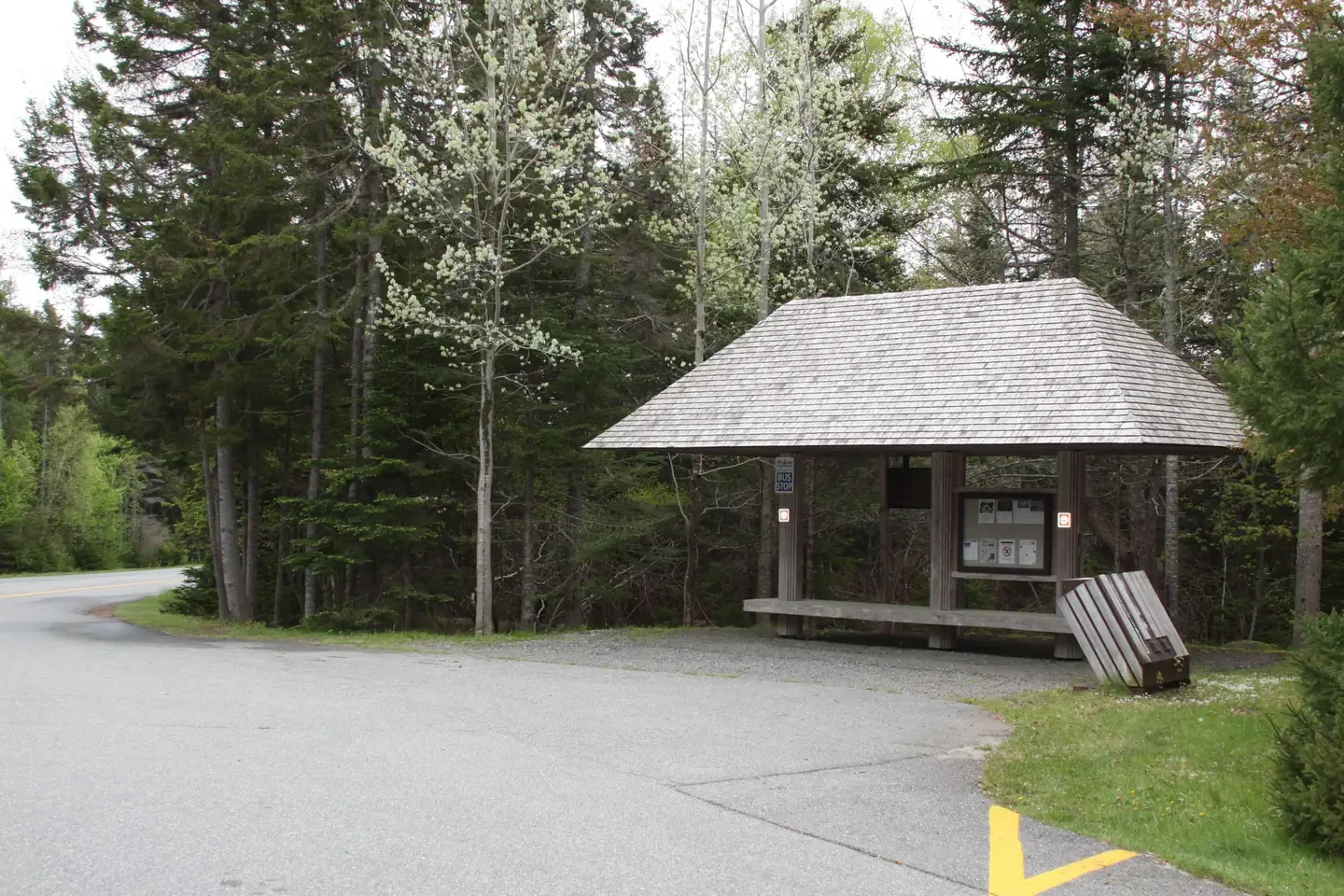 Seawall Campground