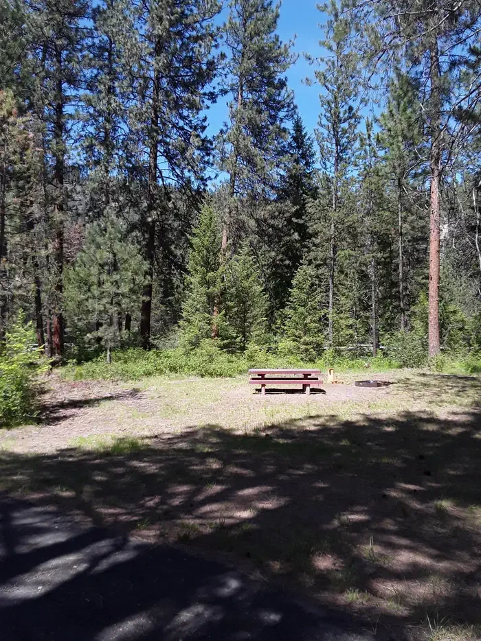 Sloway Campground (MT)