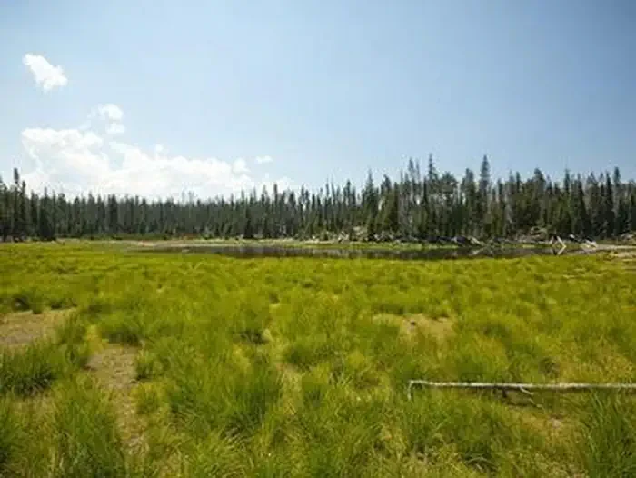 Little Fawn Campground