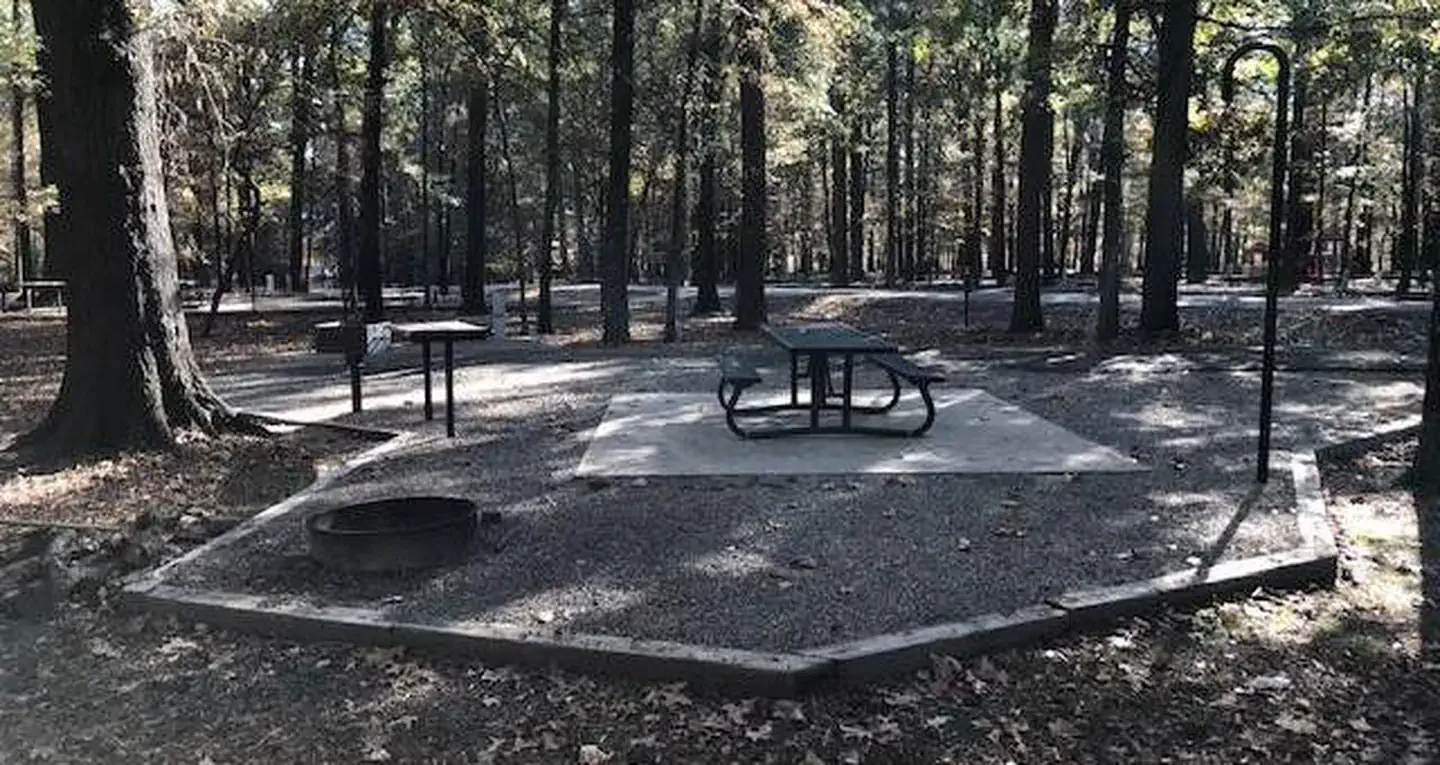 P018