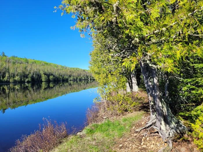 Boundary Waters Canoe Area Wilderness (Reservations)