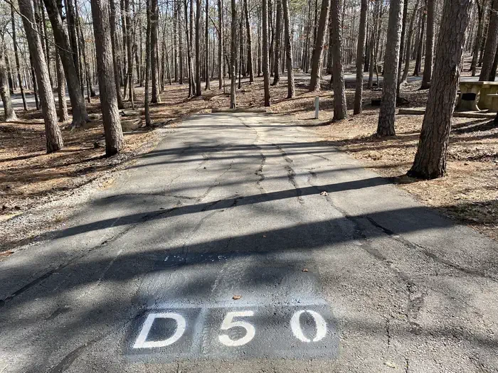 D50