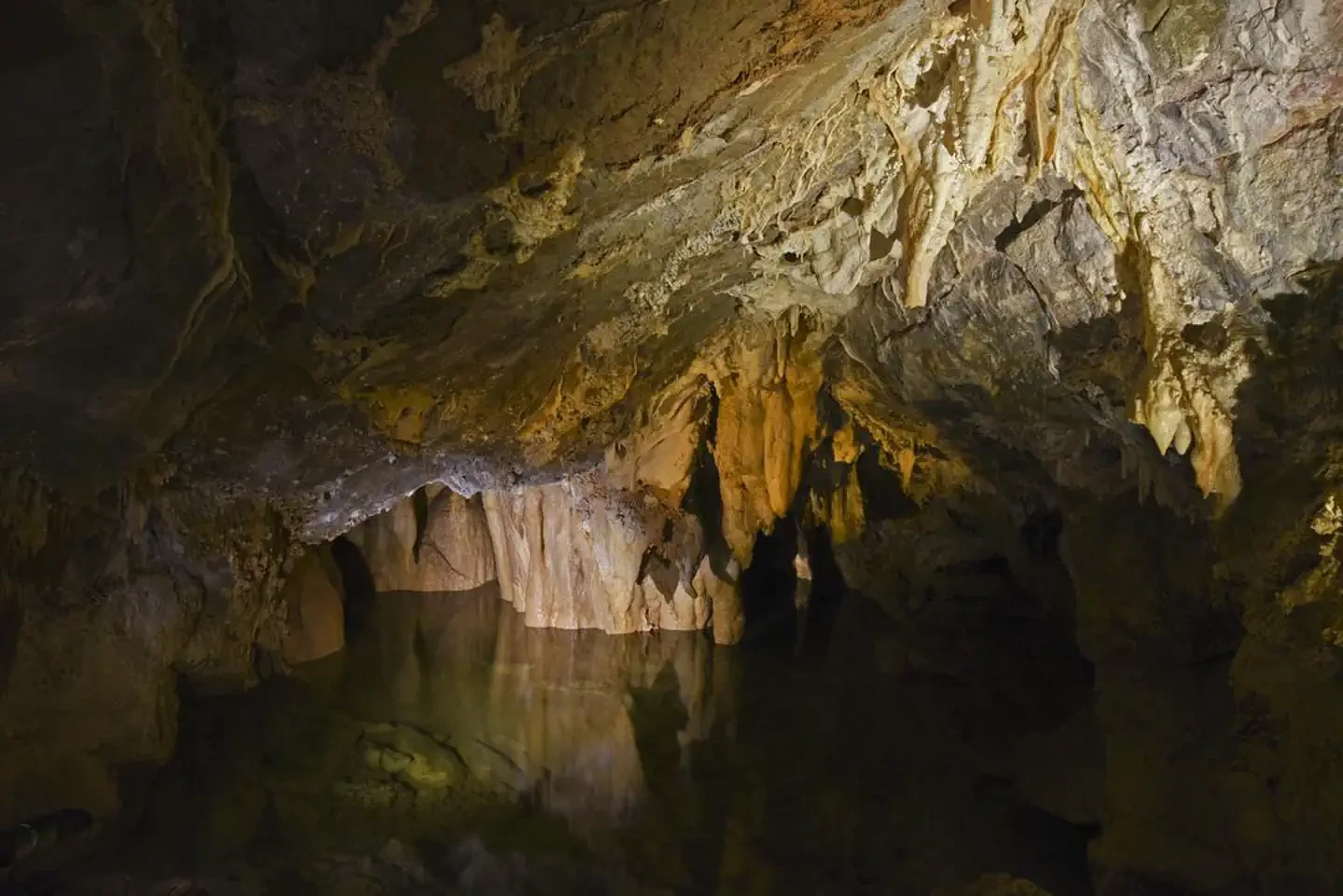 Cave Tour