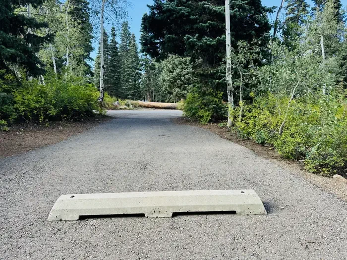 B36