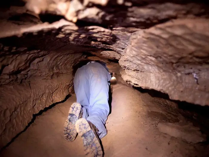 Wild Cave
