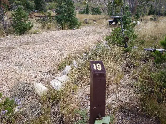 19