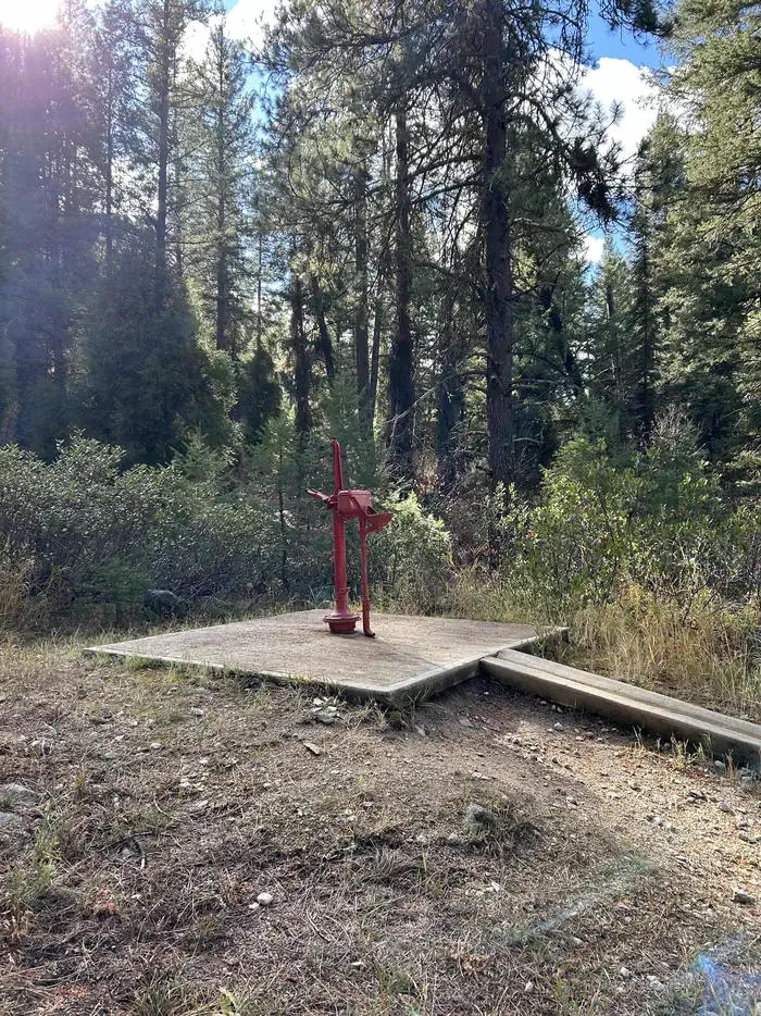 Hayfork Group Cg