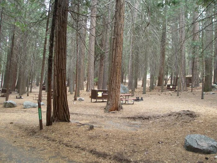 Site: 91