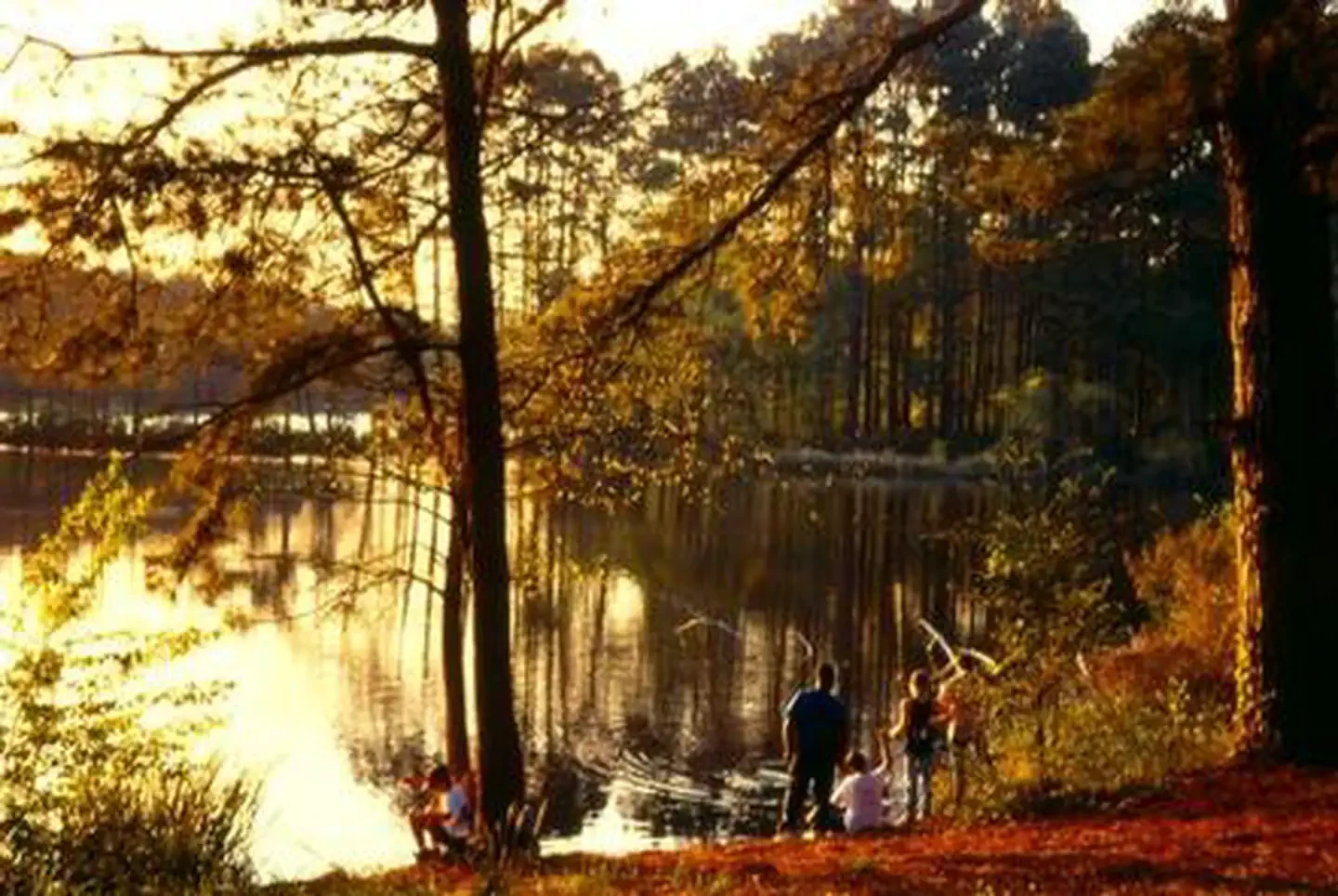 Ratcliff Lake Recreation Area