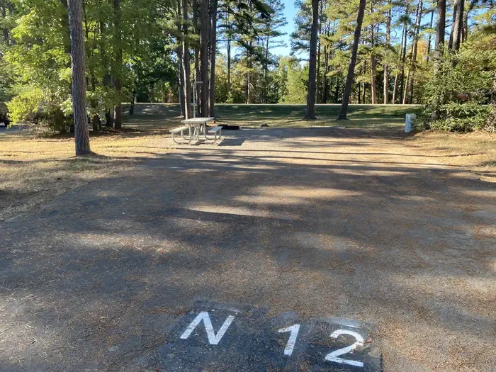 N12