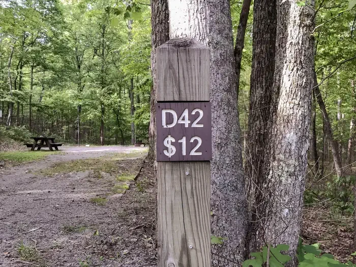 42